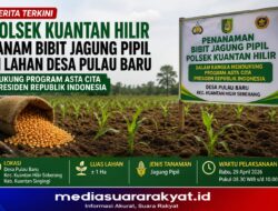 Dukung ASTA CITA Presiden, Polsek Kuantan Hilir Garap Lahan Jagung Pipil