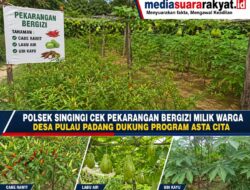Dukung Ketahanan Pangan, Polsek Singingi Tinjau Pekarangan Bergizi Warga