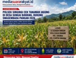 Polsek Singingi Monitoring Tanaman Jagung di Desa Sungai Bawang untuk Dukung Ketahanan Pangan