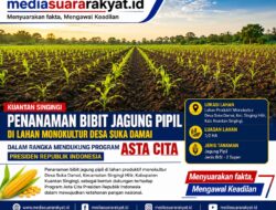 Penanaman Bibit Jagung Pipil di Desa Suka Damai Dukung Program Asta Cita Presiden RI