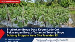 Dukung Asta Cita Presiden, Bhabinkamtibmas Desa Kebun Lado Cek Pekarangan Terong Ungu Milik Warga