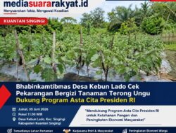 Dukung Asta Cita Presiden, Bhabinkamtibmas Desa Kebun Lado Cek Pekarangan Terong Ungu Milik Warga