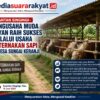 Pengusaha Muda Desa Sungai Keranji Sukses Kembangkan Peternakan Sapi, Jadi Inspirasi Generasi Muda