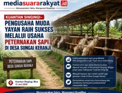 Pengusaha Muda Desa Sungai Keranji Sukses Kembangkan Peternakan Sapi, Jadi Inspirasi Generasi Muda