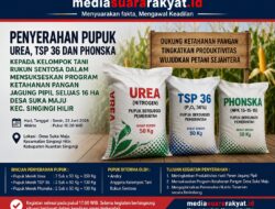 Penyerahan Pupuk untuk Kelompok Tani Rukun Sentosa, Dukung Ketahanan Pangan Jagung Pipil 16 Hektare di Singingi Hilir